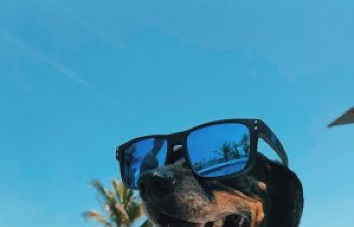 Complete Guide to Cryptocurrency Taxation in 2025: Understanding Reporting Requirements, Capital Gains, and Global Compliance