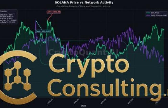 Solana’s Three-Month Surge Stalls as Network Activity Drops 50%