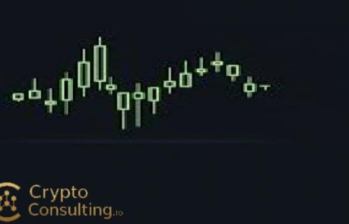 Understanding Cryptocurrency Trading: Essential Concepts for Beginners Including Market Orders, Limit Orders, and Stop Losses