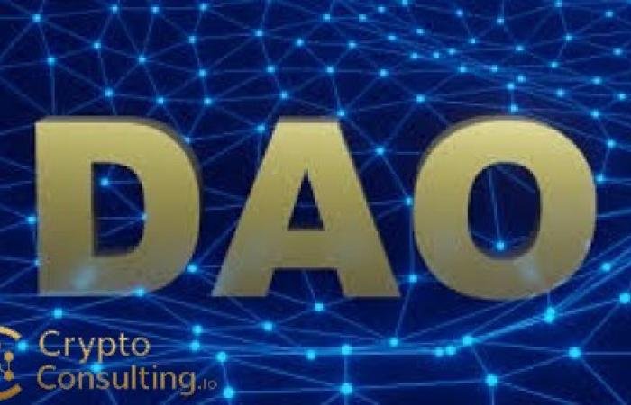 Decentralized Autonomous Organizations (DAOs) in 2025: Governance Models and Treasury Management Best Practices
