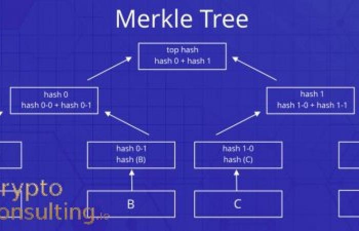 Cryptographic Hashing in Blockchain: Understanding SHA-256, Merkle Trees, and Data Integrity Verification Methods