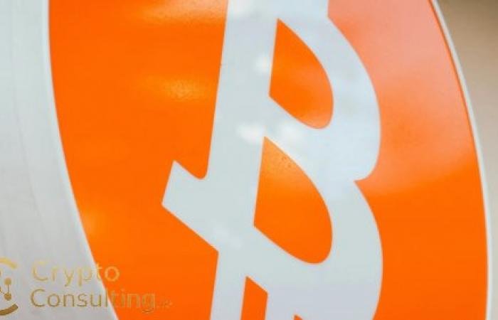 November Crypto Market Slide: Bitcoin Drops 18% in 30 Days Amid Rate-Cut Fears and Trade Tensions