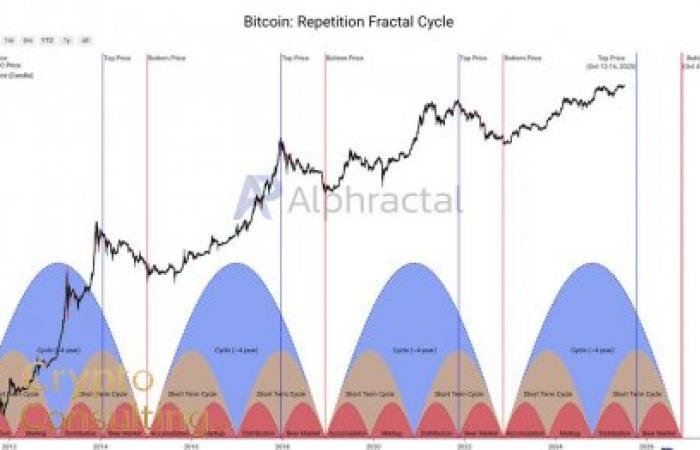 On-Chain Data Reveals Long-Term Holder Unwind: What It Means for Blockchain Cycles