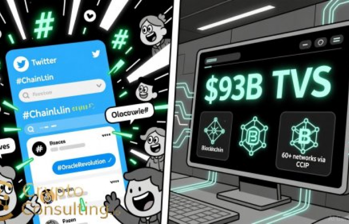XRP Tundra Unveils Transparent DeFi Framework: Audits, Public KYC & Secure Presales Lead the Way