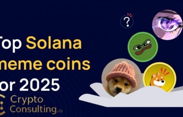 The Best Solana Meme Coins to Watch in November 2025 – Full Guide
