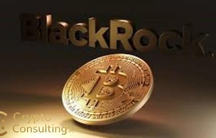 BlackRock Doubles Down on Bitcoin’s Long-Term Value Despite Price Shortfall — A Structural View on Blockchain Adoption