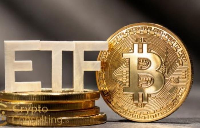 Major Outflows from Bitcoin Spot ETFs Highlight Growing Caution Among Institutions