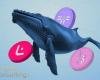 Whale Activity Signals Quiet Accumulation in Select Altcoins After Early November Pull-Back